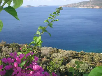 Kalamar 3* Kalkan