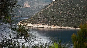Kalamar 3*